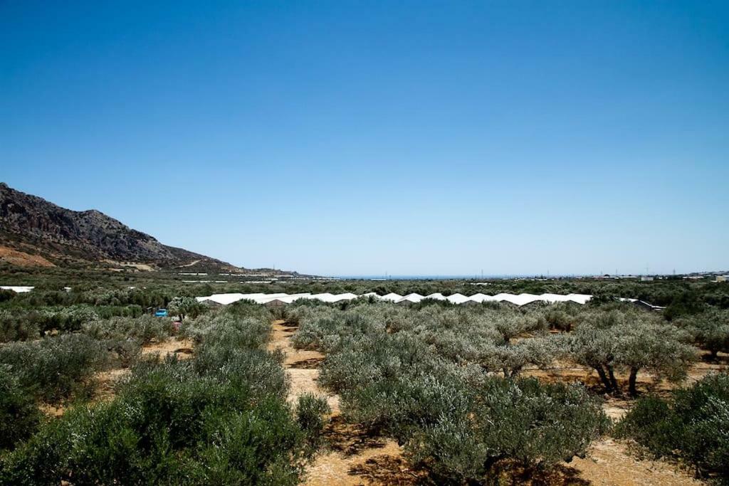 Ierapetra Garden House Διαμέρισμα Εξωτερικό φωτογραφία